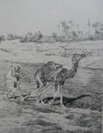Lithograph Lunois - Laboureur du Kef