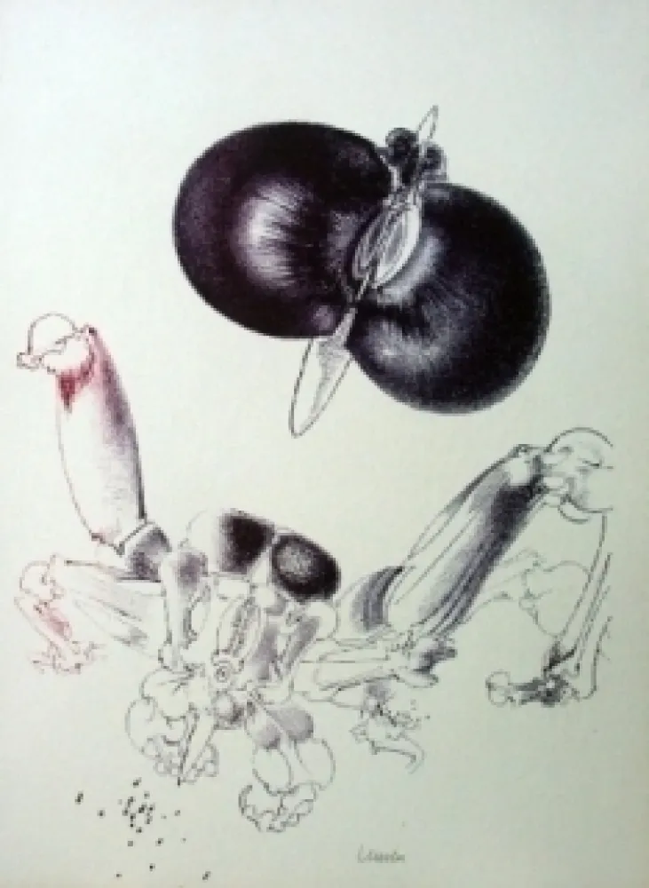 Lithograph Lunven - Sans titre