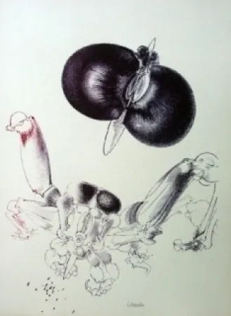 Lithograph Lunven - Sans titre