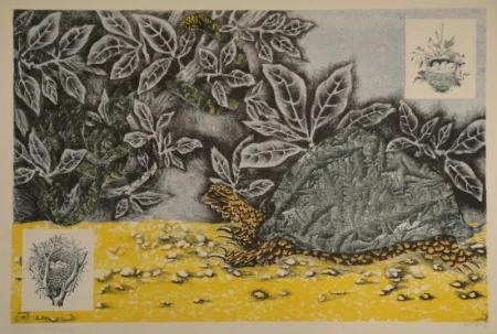 Lithograph Lurcat - La Tortue