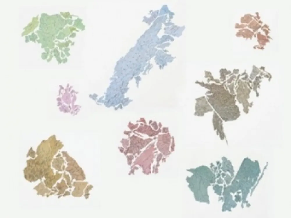 Lithograph Macchi - New World