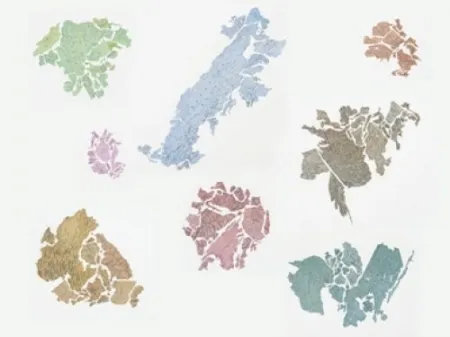 Lithograph Macchi - New World