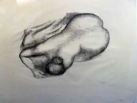 Lithograph Maillol - Torso