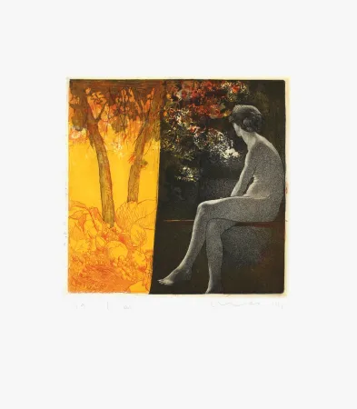 Engraving Mair - Ombracule