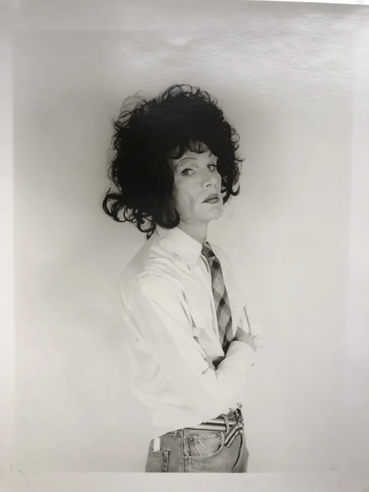 Photography Makos - Andy Warhol, dark wig (Altered Images)