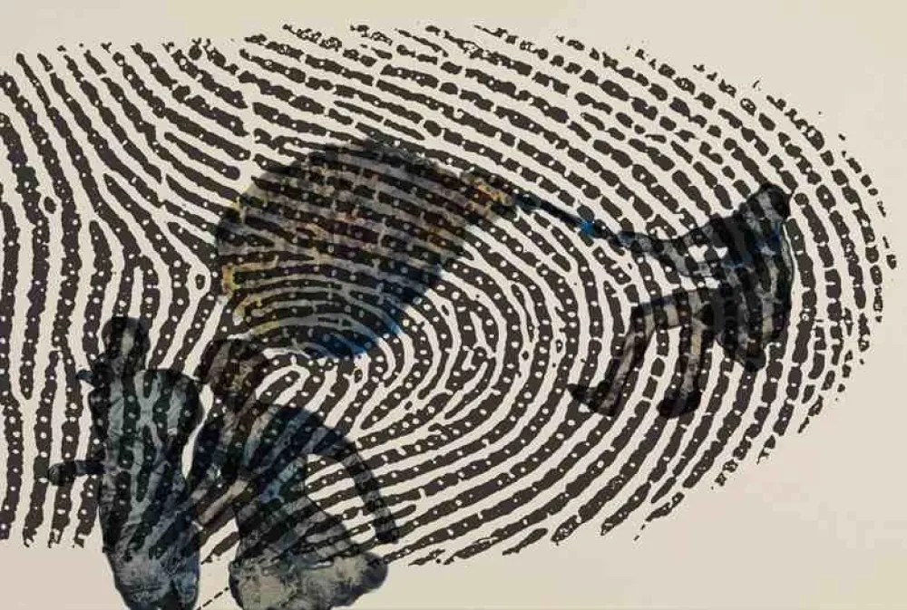 Numeric Print Malani - Limits of identity