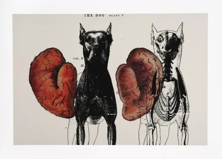 Numeric Print Malani - Stress of recall (The)