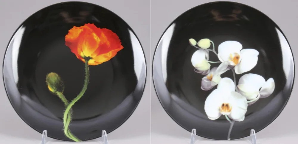 Multiple Mapplethorpe - Poppy & Orchid