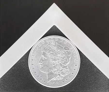 Photography Mapplethorpe - Silver Dollar