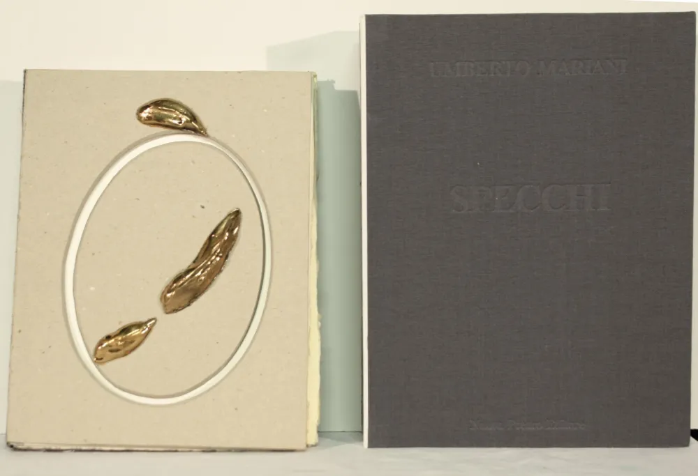 No Technical Mariani - SPECCHI