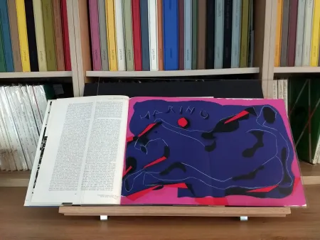 Illustrated Book Marini - Hommage
