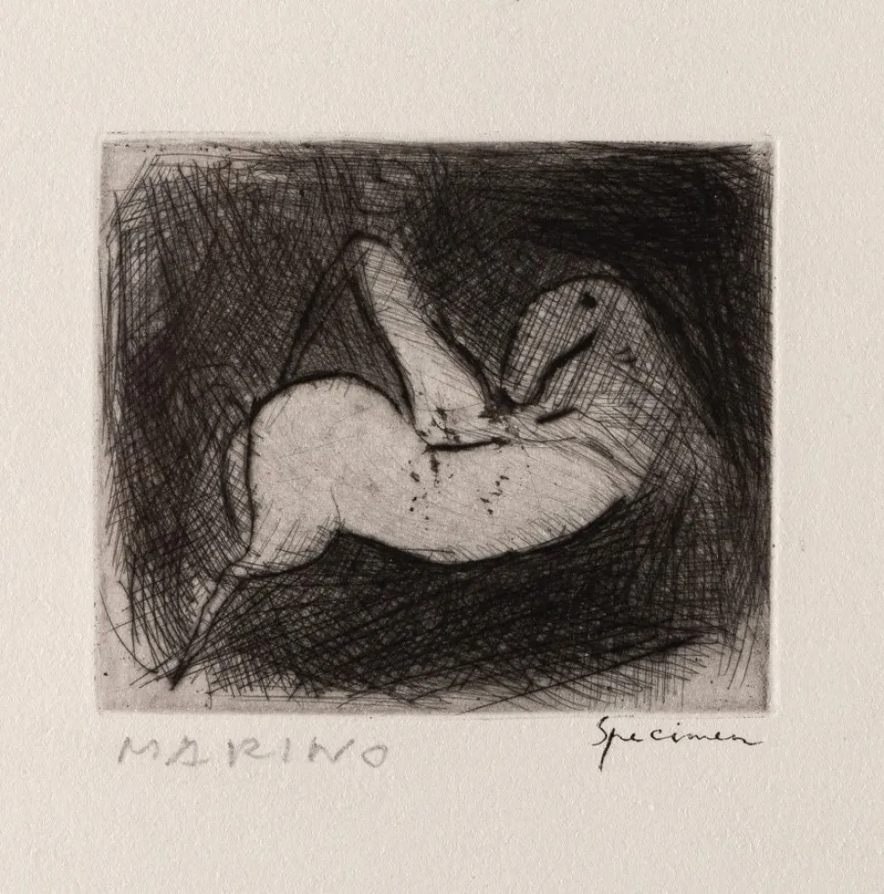 Engraving Marini - Piccolo Cavaliere