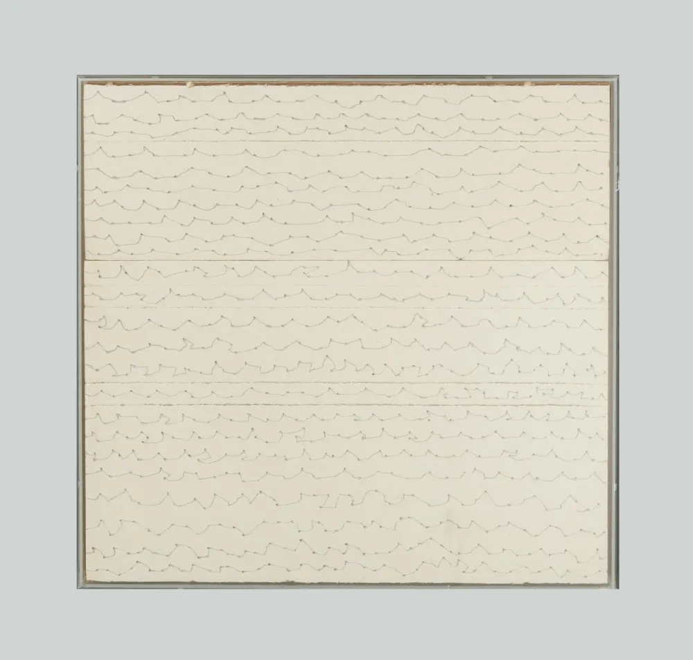 No Technical Masi - Senza titolo