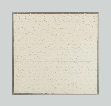 No Technical Masi - Senza titolo