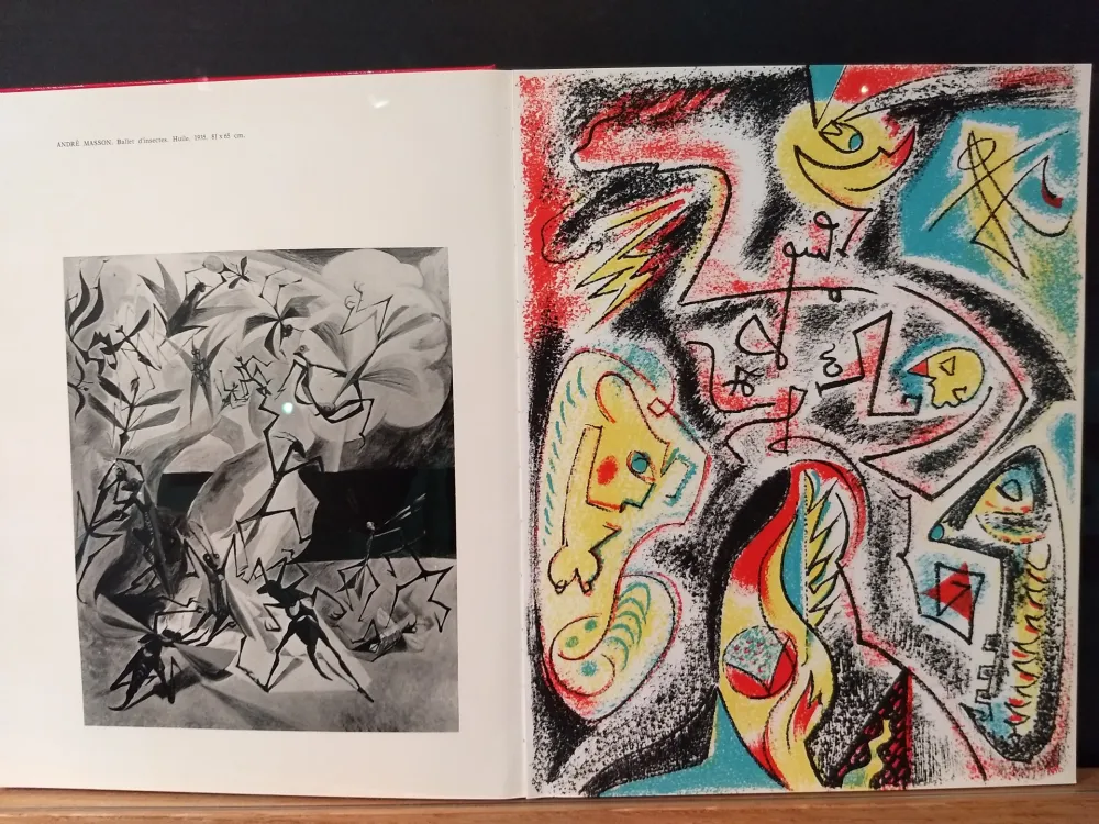 Illustrated Book Masson - Xxe No 32