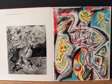 Illustrated Book Masson - Xxe No 32