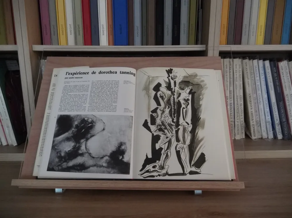 Illustrated Book Masson - Xxe Tanning