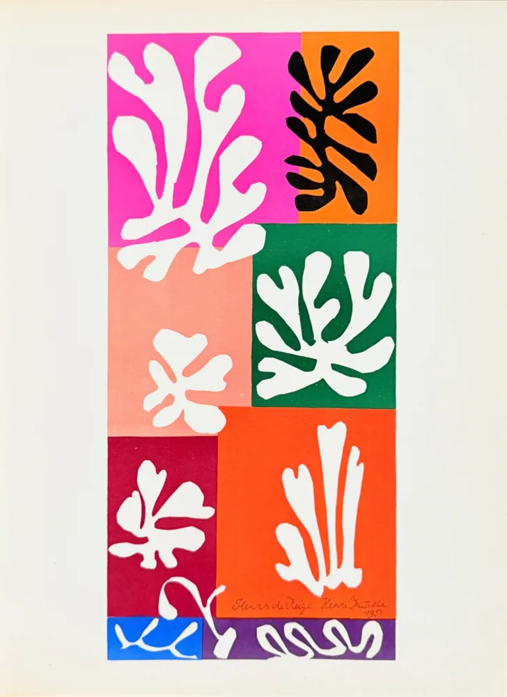 Lithograph Matisse - Fleurs de Neige