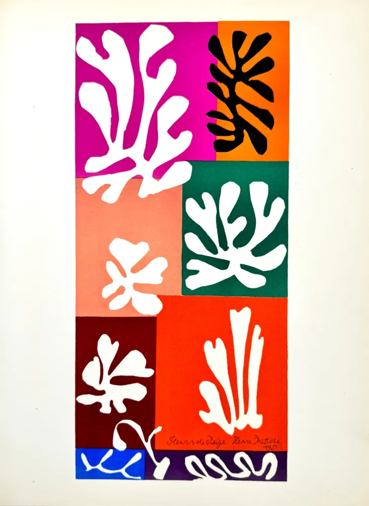 Lithograph Matisse - Fleurs de neige 