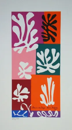 Screenprint Matisse - Fleurs de Neige, 1951