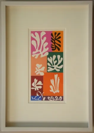 Lithograph Matisse - Fleurs De Neige