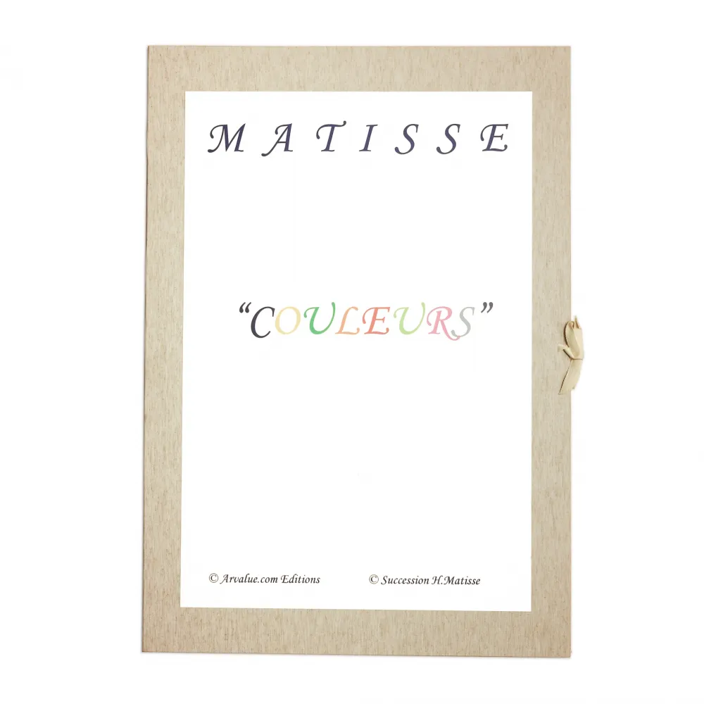 Lithograph Matisse - Portfolio Henri Matisse 