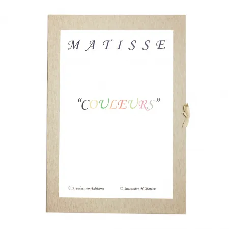 Lithograph Matisse - Portfolio Henri Matisse 