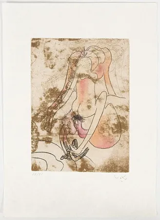 Etching And Aquatint Matta - FMR planche 6