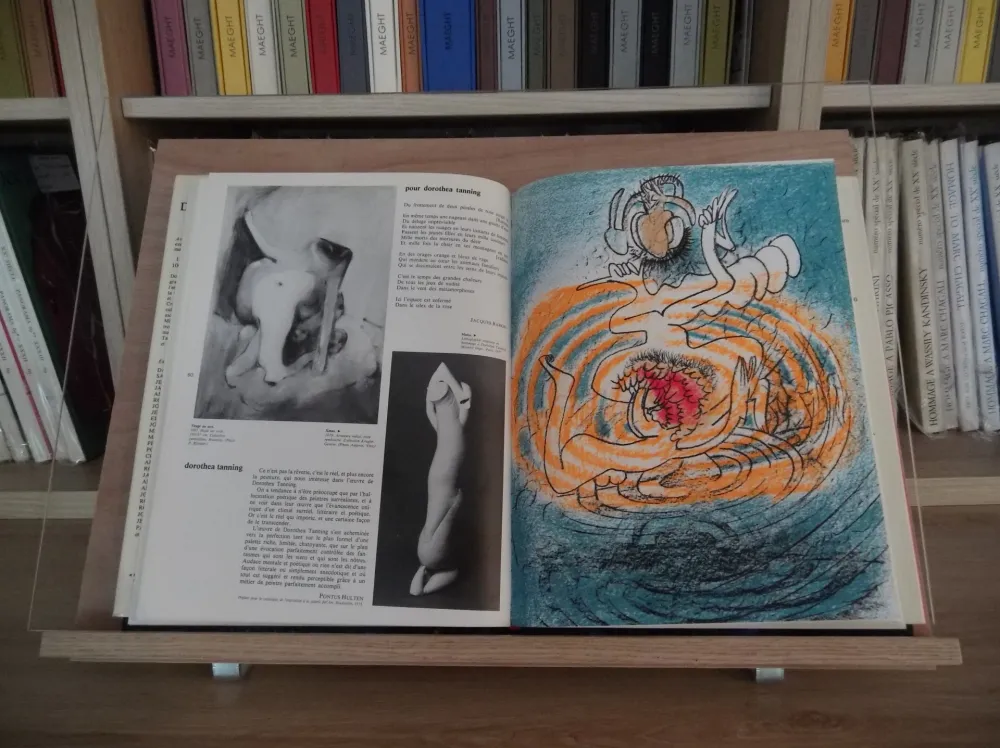 Illustrated Book Matta - Xxe Tanning