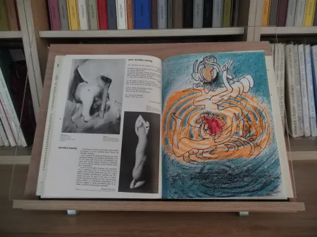 Illustrated Book Matta - Xxe Tanning