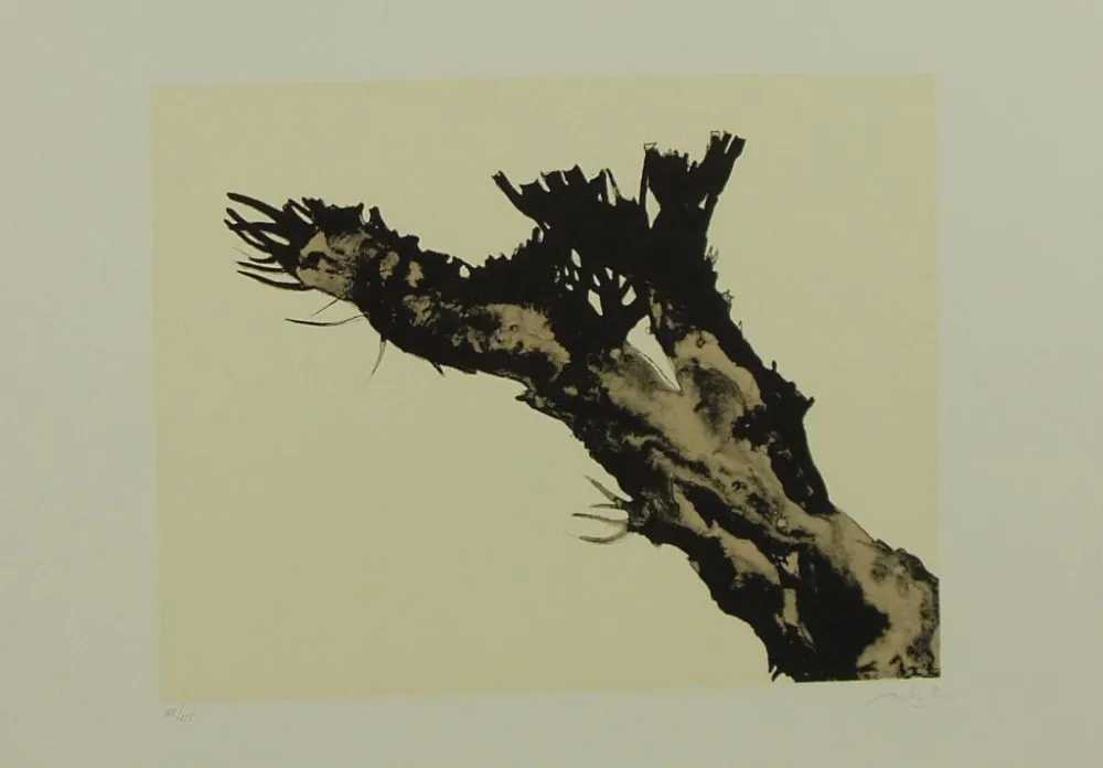 Lithograph Mattioli - SENZA TITOLO