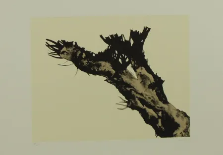 Lithograph Mattioli - SENZA TITOLO