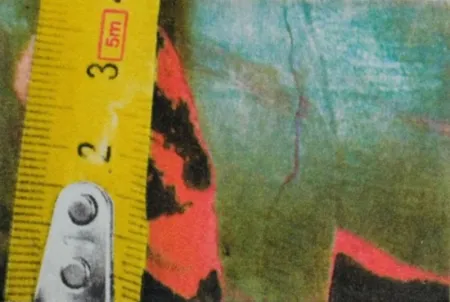 Photography Mcbride - Untitled (Rulers III)