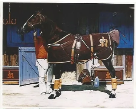 Lithograph Mclean - Prim Style