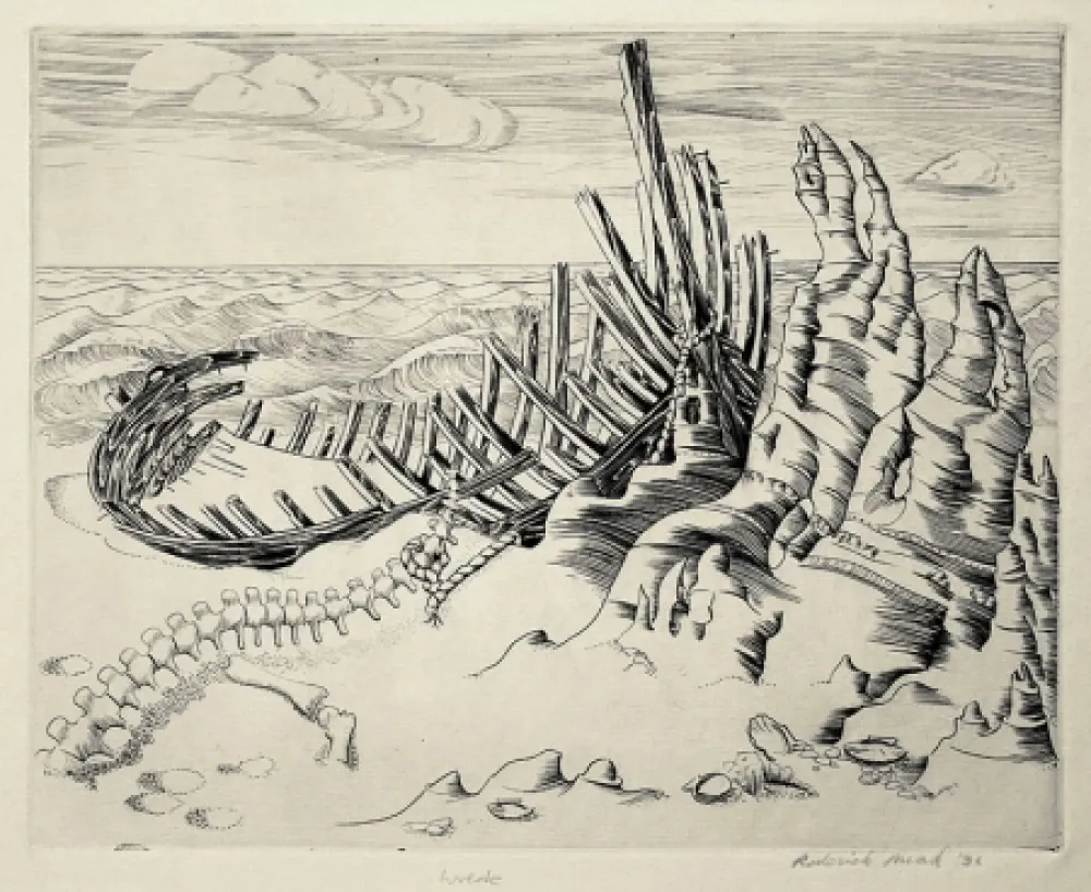 Engraving Mead - Wreck (Wreck on Shore; Wrecked Ship)