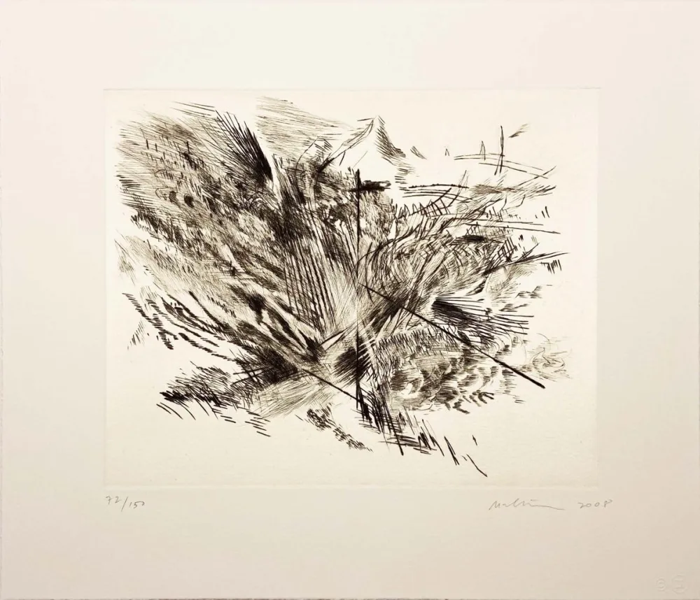 Drypoint Mehretu - Untitled I (amulets) from the Artist for Obama Portfolio