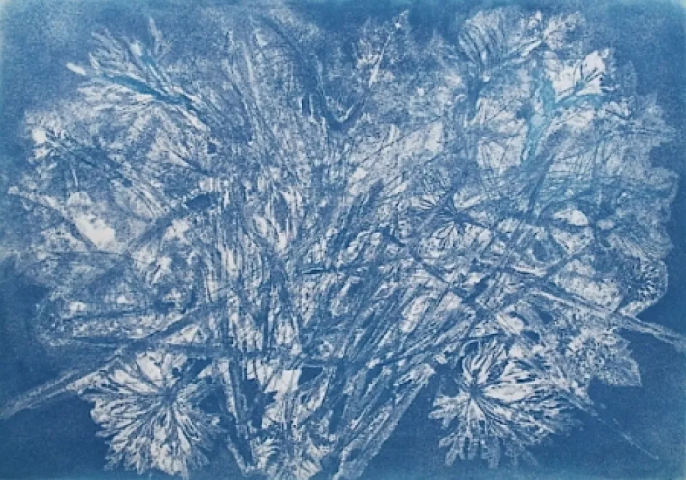 Etching And Aquatint Messagier -  Machine à Printemps 