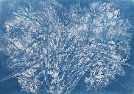 Etching And Aquatint Messagier -  Machine à Printemps 