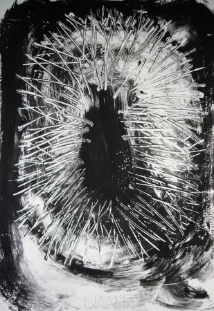 Lithograph Messagier - Pour le peuple africain