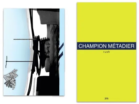 Illustrated Book Metadier - L'art en écrit