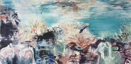 No Technical Meyer - Coral Reef