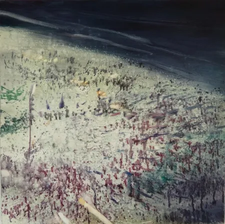 No Technical Meyer - Rio Beach