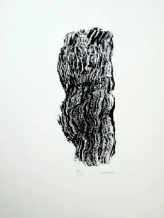 Lithograph Michaux - Compostion 127