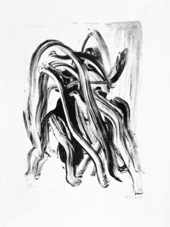 Lithograph Michaux - Pour Brunidor