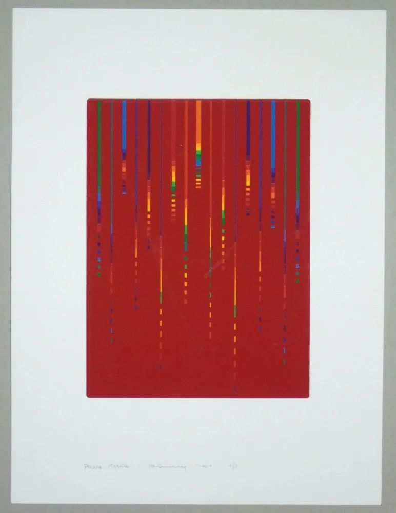 Screenprint Minoli - Composizione (c)