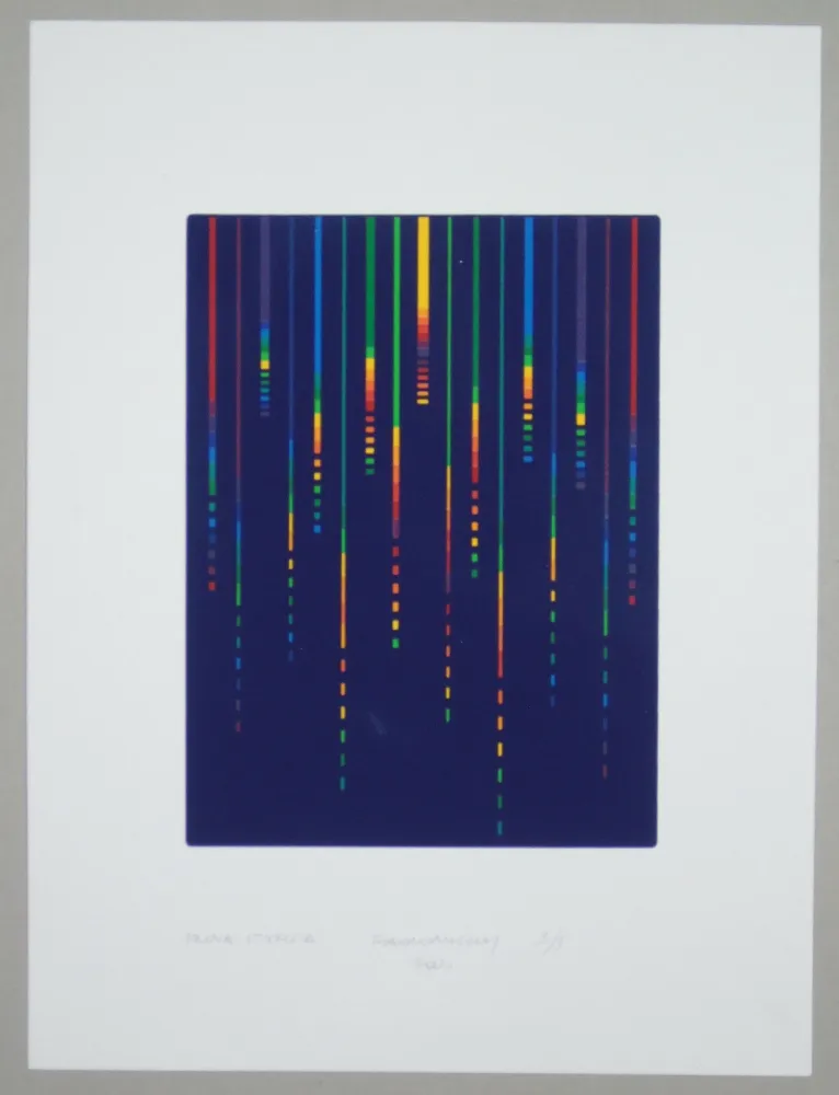 Screenprint Minoli - Composizione (e)