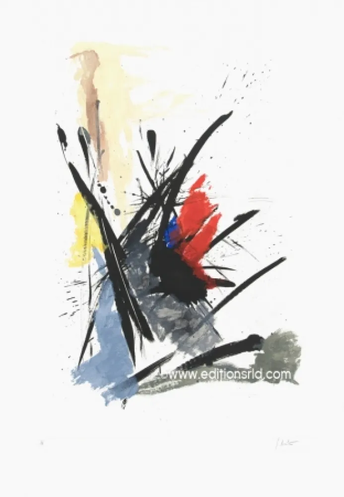 Etching And Aquatint Miotte - L'iroquois