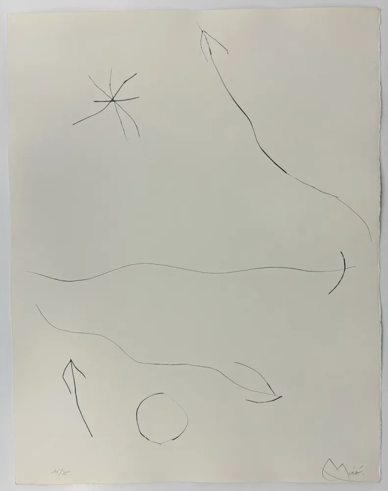 Drypoint Miró - Journal d'un graveur II