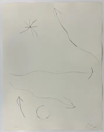 Drypoint Miró - Journal d'un graveur II
