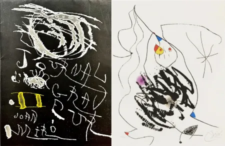 Etching And Aquatint Miró - Journal d'un Graveur (INCLUDE THE ORIGINAL FOULDER)